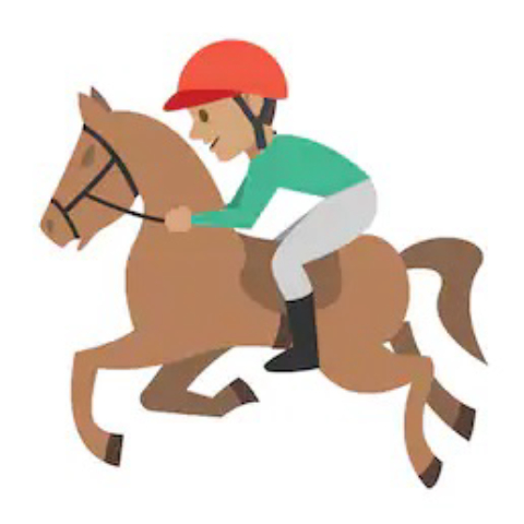 MMU Equestrian Team