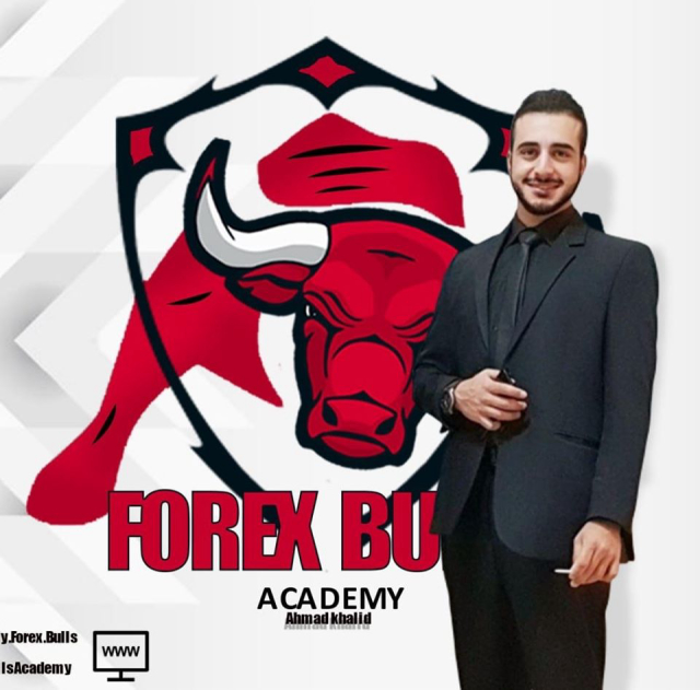 Forex Bulls Academy